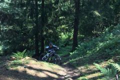 IMG-20180817-WA0012