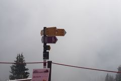 IMG-20180818-WA0009