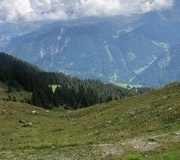 Lanz021