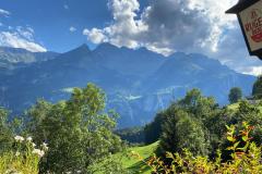IMG-20200820-WA0005