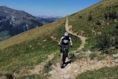 IMG-20200821-WA0015