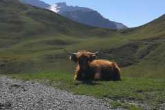 IMG-20200821-WA0042