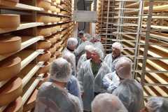 IMG-20200823-WA0010