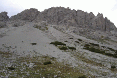 dsc01342