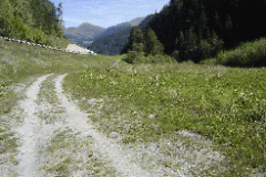 dsc01619