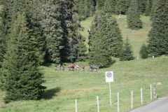 bikeweekend-innerschweiz-089