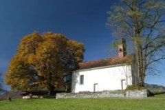 ennerberg_6139