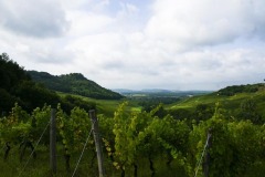 impression-aus-dem-jura1