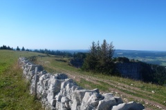 p10400131