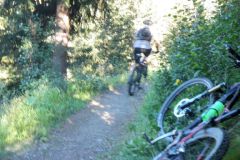 OLYMPUS DIGITAL CAMERA