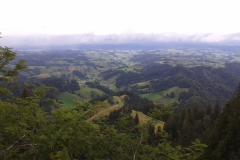 20150815_162419