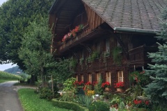 thumb_IMG_6629_1024