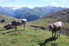 20160814_121955-Kopie