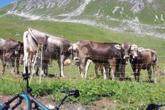 20160814_122644-Kopie