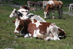 20160814_130413-Kopie