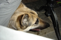 dsc00095