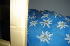 dsc00217
